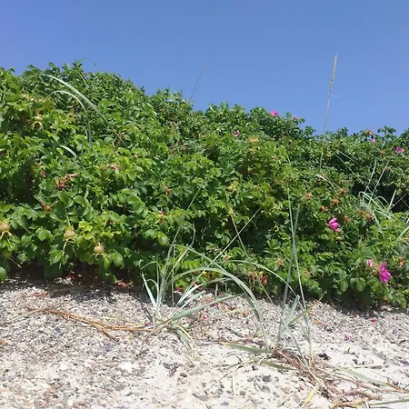 Secluded Haven In Kelstrup - By Traum *